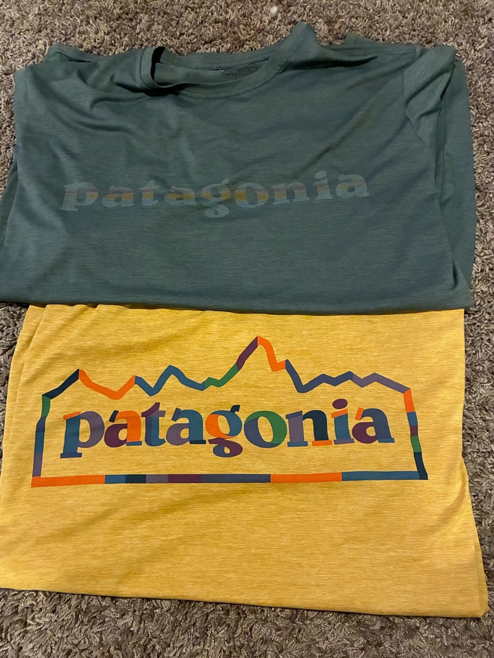 Patagonia Capilene Cool Daily Shirt Mens XL  Save Our Home Planet Graphic
